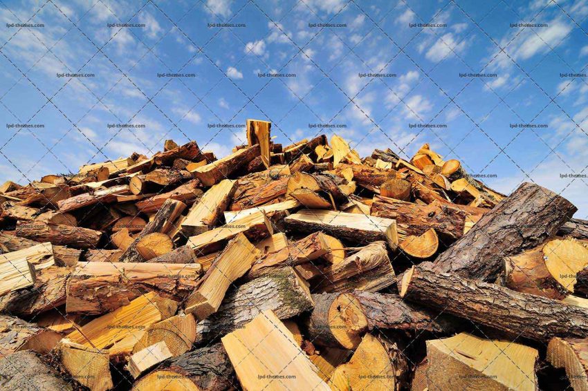 Firewood Pile