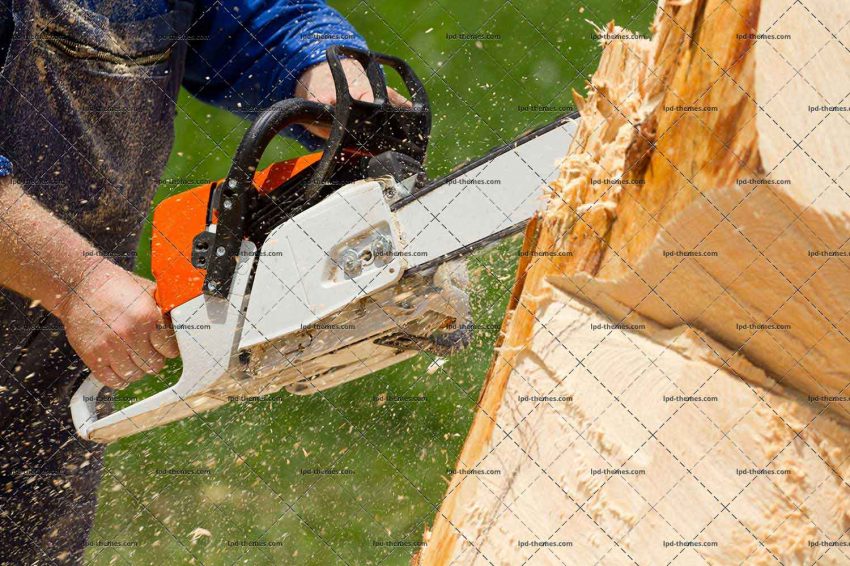 Cutting The Tree