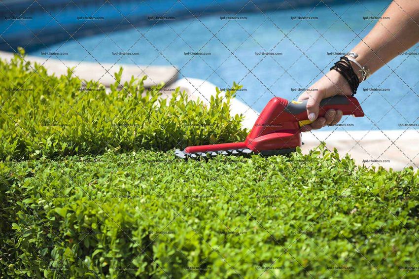 Hedge Trimmer